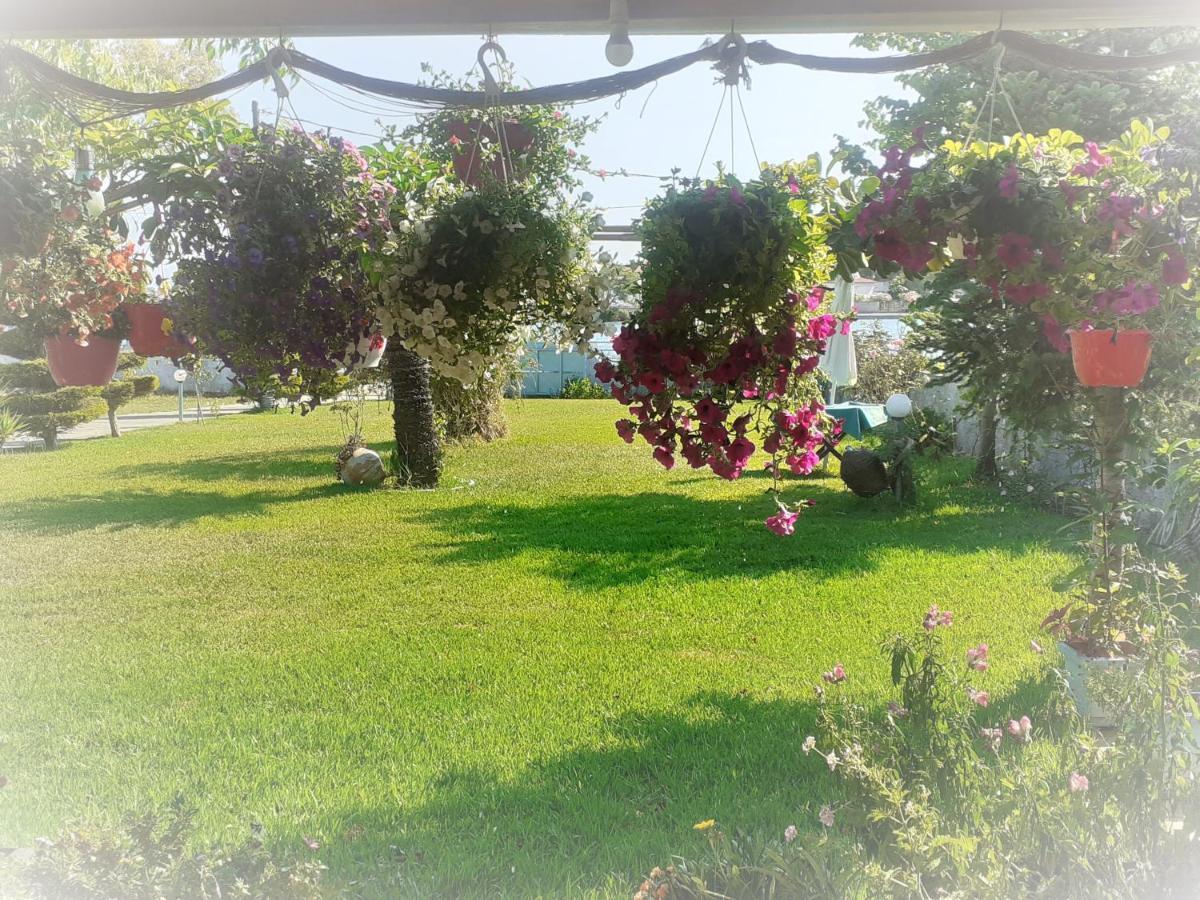Top Floor On Villa, 3' From Center, By The Sea! Host Is Efi Kwsta Preveza Buitenkant foto